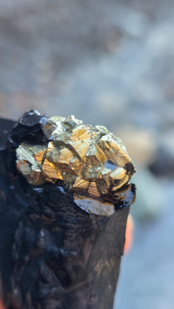 Pyrite - Haute Alpes - France
