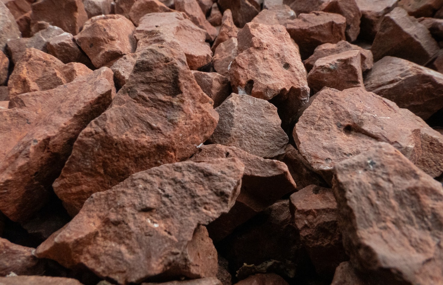 The Art of Curating Earthly Treasures